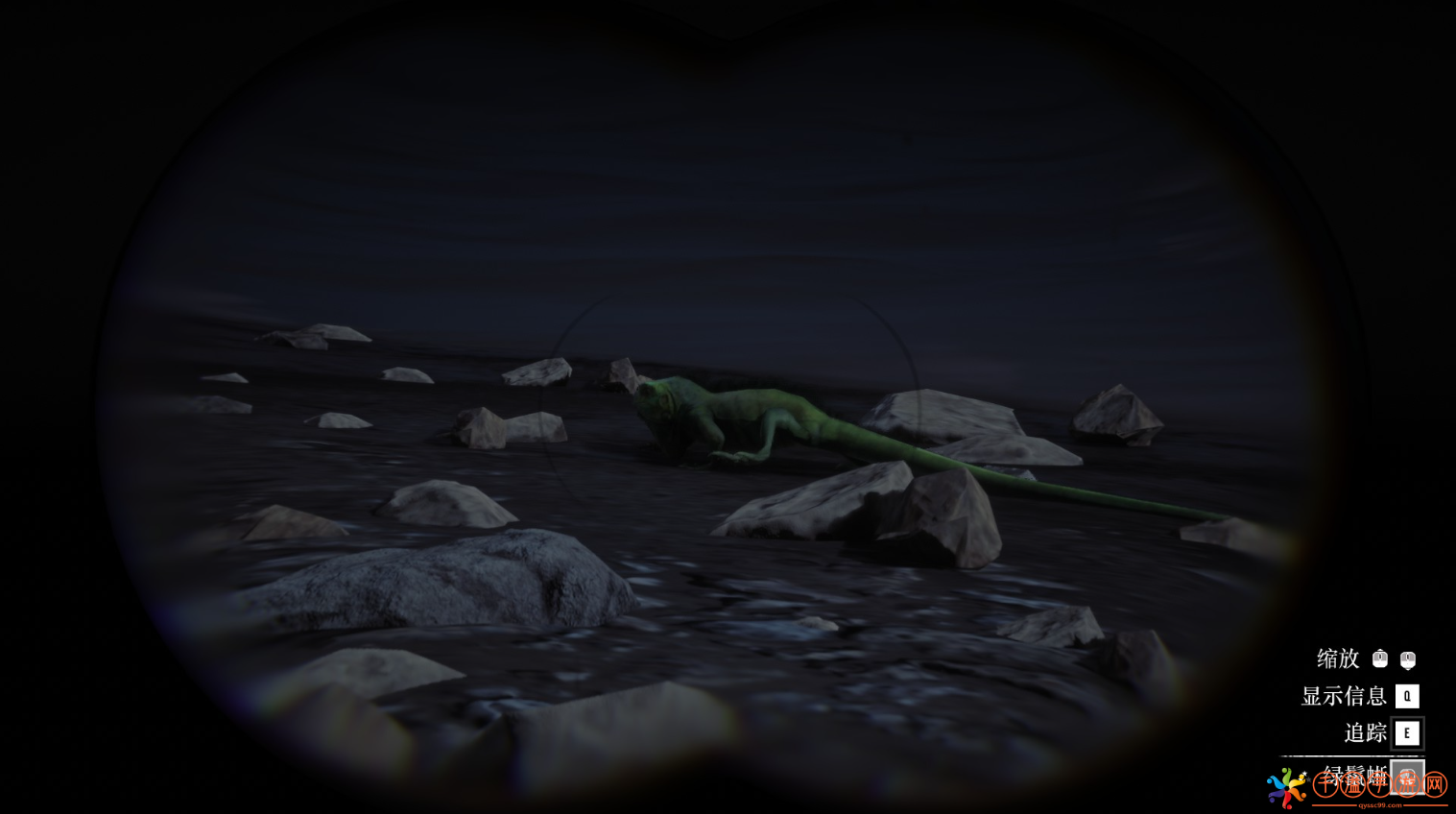 《荒野大镖客2》动物绿鬣蜥在哪里找